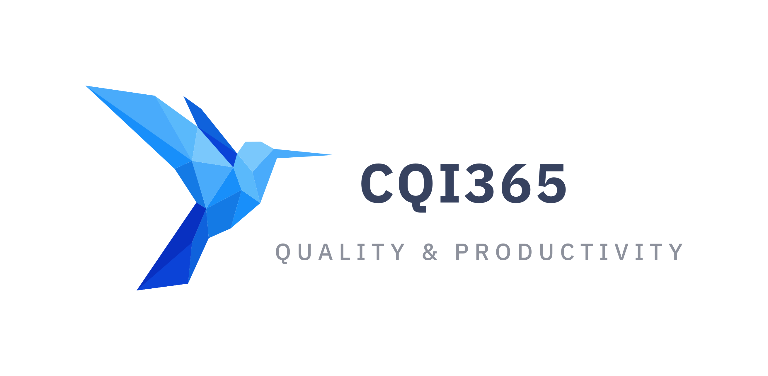 CQI 365 | Quality & Productivity